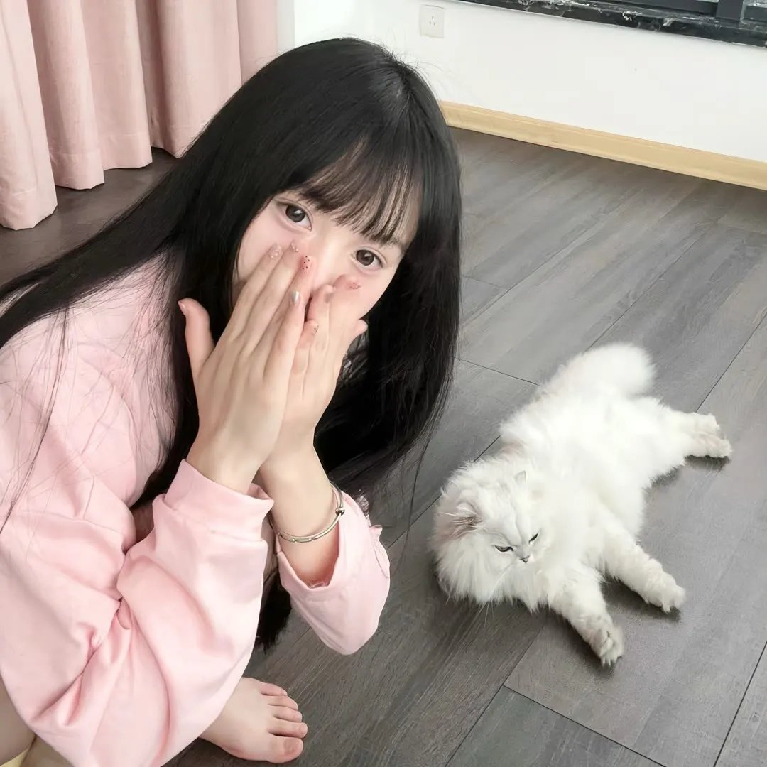 完美犯罪