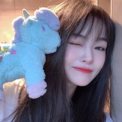 我的小狗斯齐普